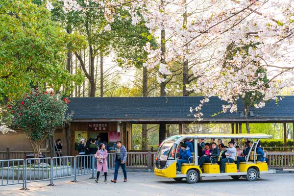 華東旅游
