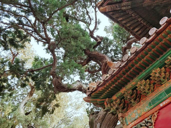 北京旅游
