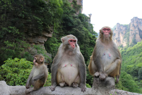 張家界旅游