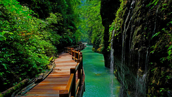 仙女山旅游