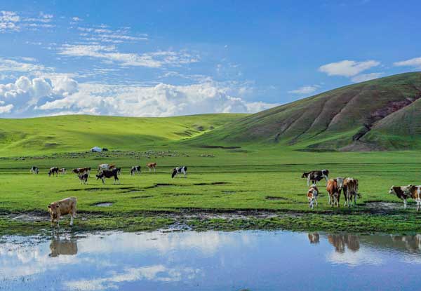 西北旅游